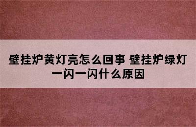 壁挂炉黄灯亮怎么回事 壁挂炉绿灯一闪一闪什么原因